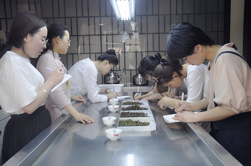 免费的茶艺师培训是真实的吗